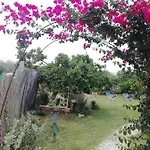 Sweet Old House * Marsala
