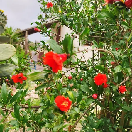 Homestay Sweet Old House *